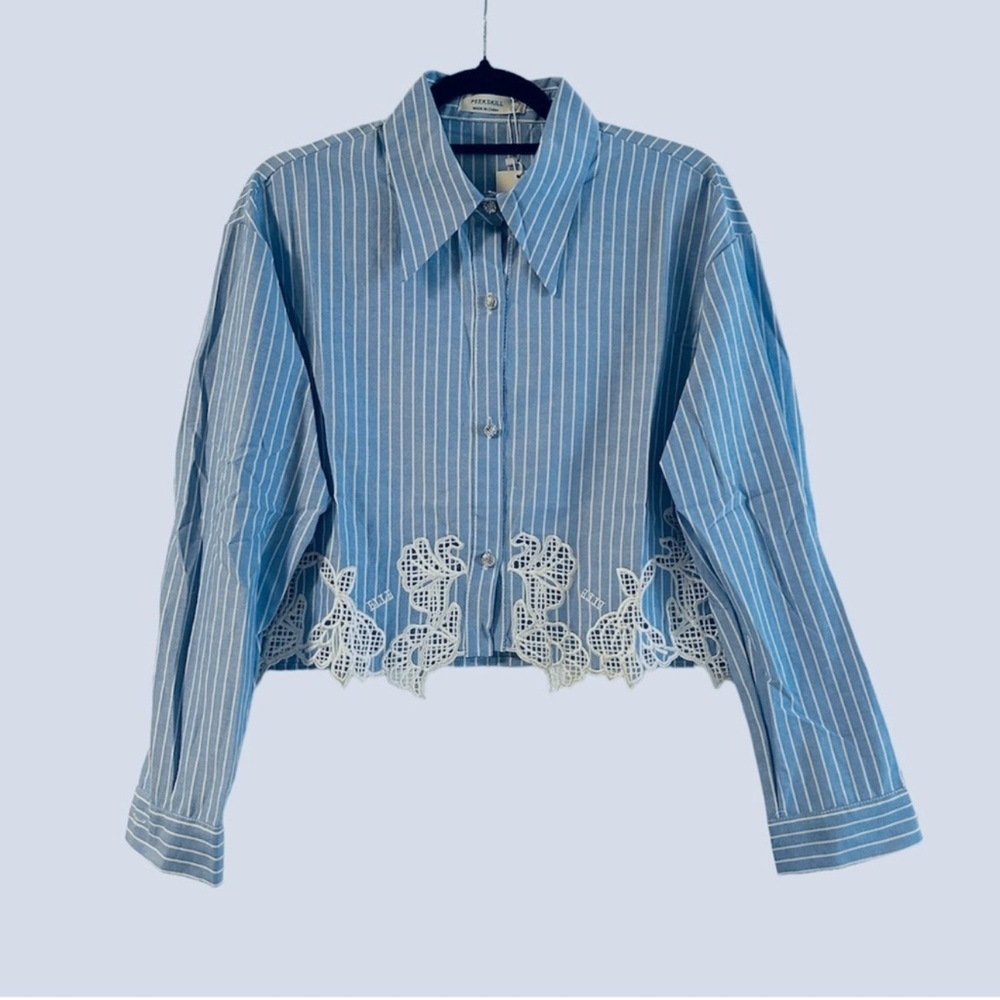 Embroidered Pinstriped Rhinestone Button Shirt